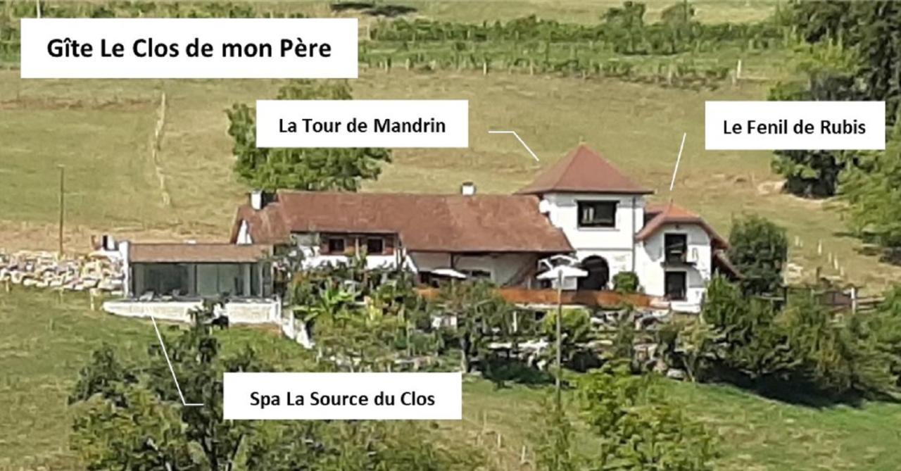 Gite & Spa Le Clos De Mon Pere Rochefort  Exterior foto
